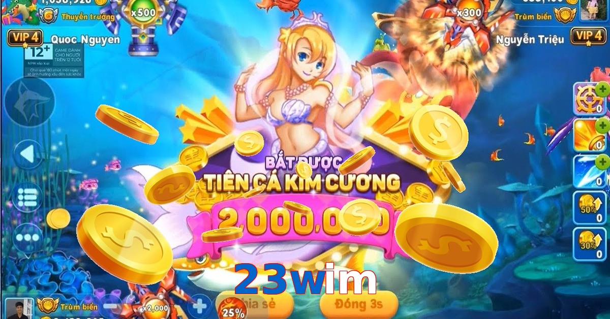 23wim